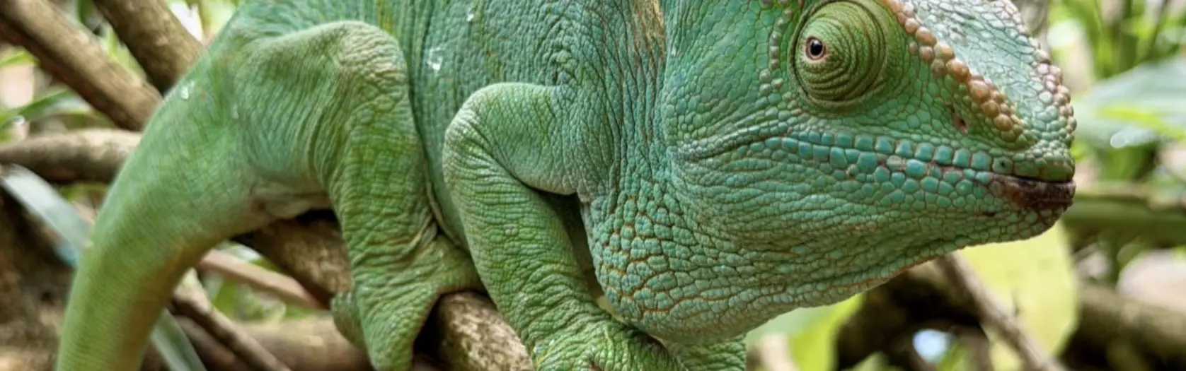 Madagaskaras piezīmes - 2.diena