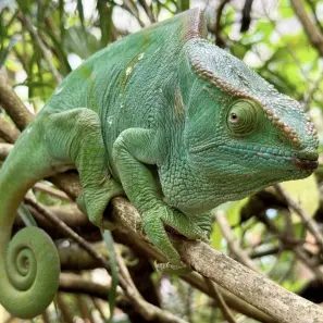 Madagaskaras piezīmes - 2.diena