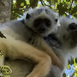 Madagaskaras piezīmes - 3.diena