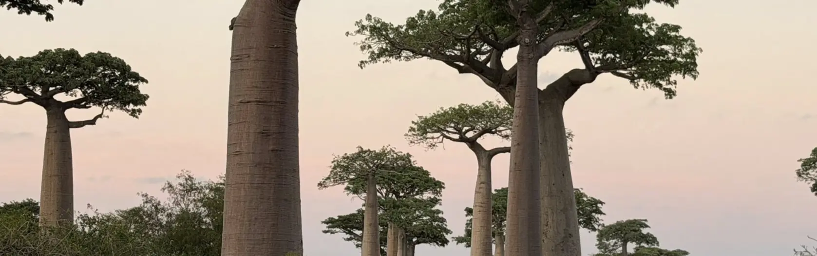 Madagaskaras piezīmes - 10.diena