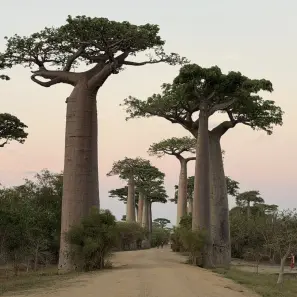 Madagaskaras piezīmes - 10.diena