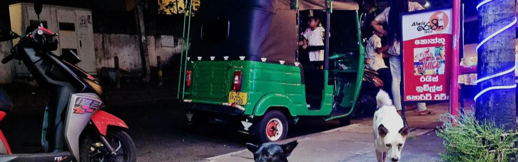 Šrilankas piezīmes - 2.diena