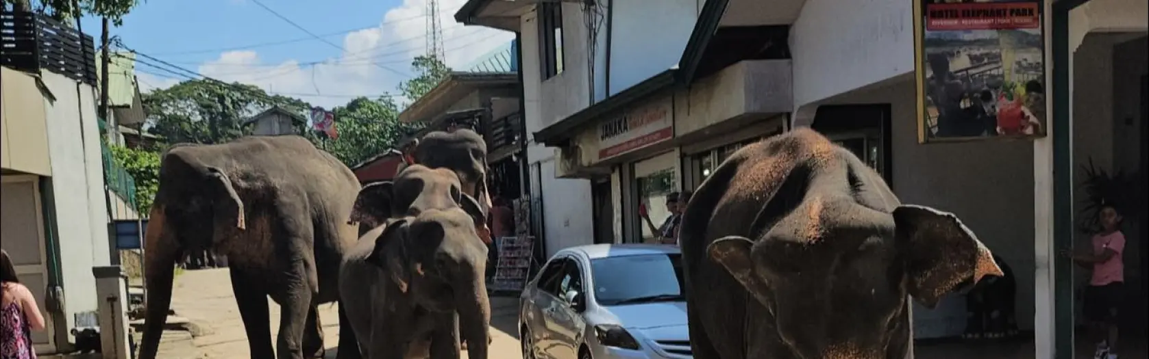 Šrilankas piezīmes - 3.diena