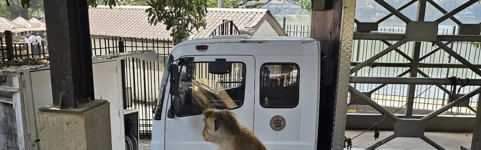 Šrilankas piezīmes - 6.diena