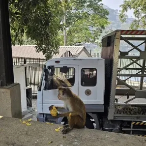 Šrilankas piezīmes - 6.diena