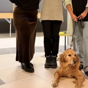 Tumsa neeksistē! Citāda pieredze Sensorium