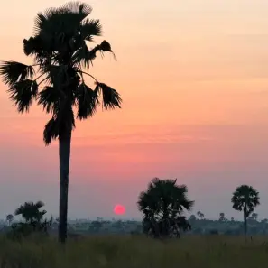 3. diena Ugandā.  Saullēkta maģija tropu savannā