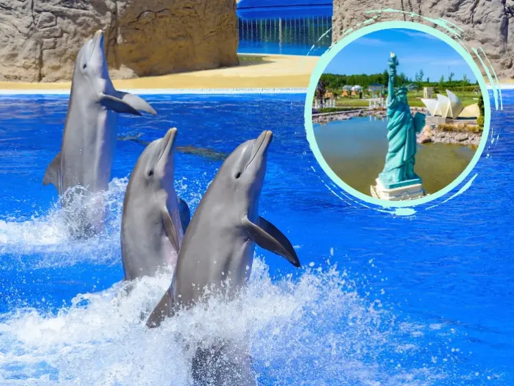 Delfīnu dejas dzintarjūras krastos AR MINIATŪRU PARKU