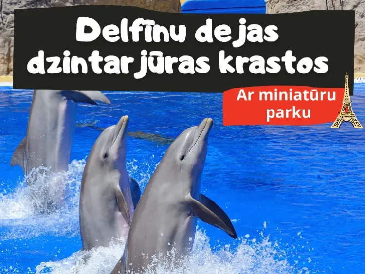Delfīnu dejas dzintarjūras krastos AR MINIATŪRU PARKU