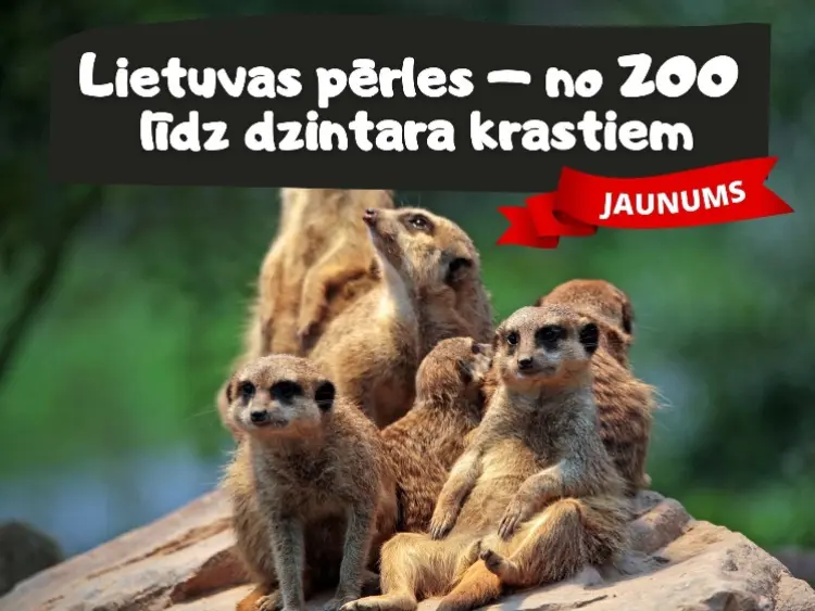 Lietuvas pērles – no ZOO līdz dzintara krastiem