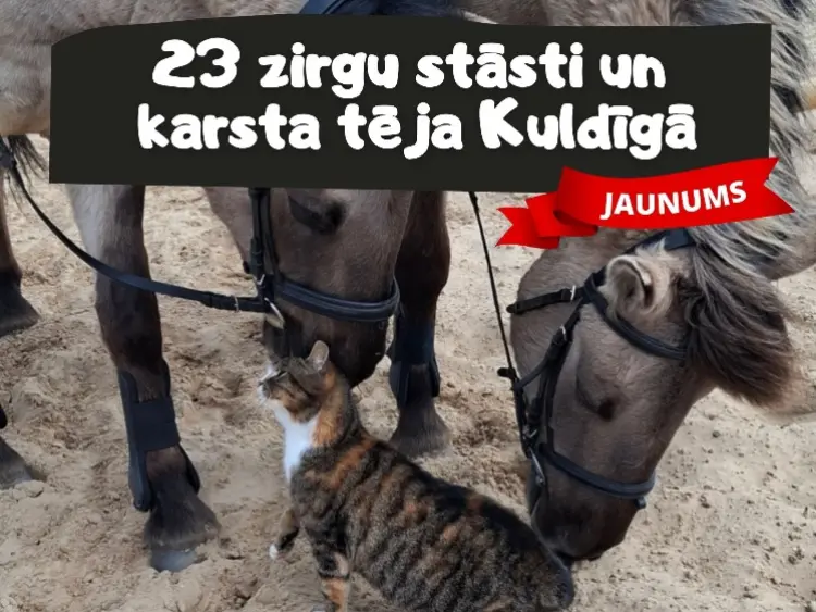 23 zirgu stāsti un karsta tēja Kuldīgā