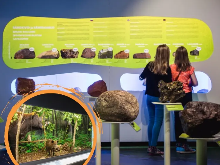 Tartu ar Ledus laikmetu un AHHA centru