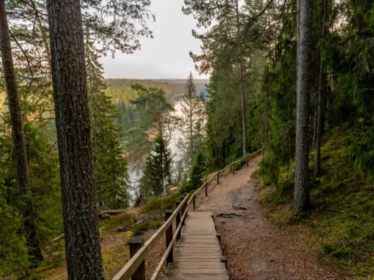 Valmiera 3 garšās – daba, kultūra un saldais noslēpums