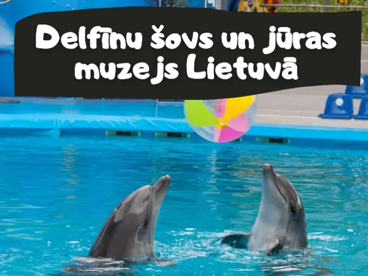 Delfīnu šovs un jūras muzejs Lietuvā