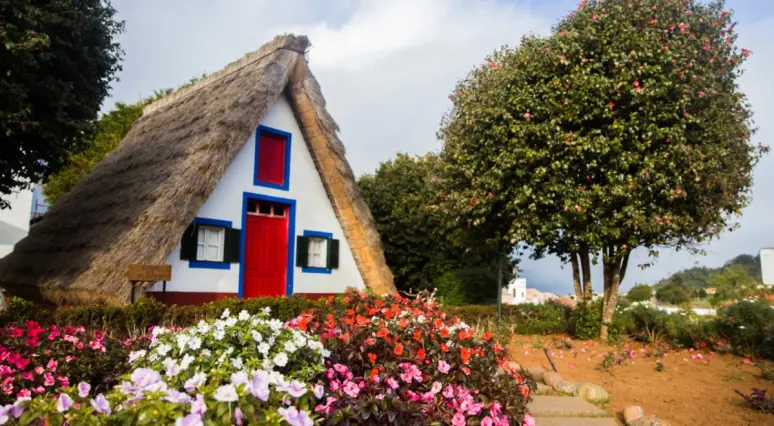 Vulkānu un ziedu sala - Madeira