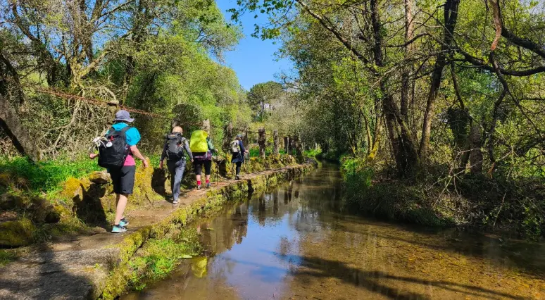 BUEN CAMINO! Santjago ceļš