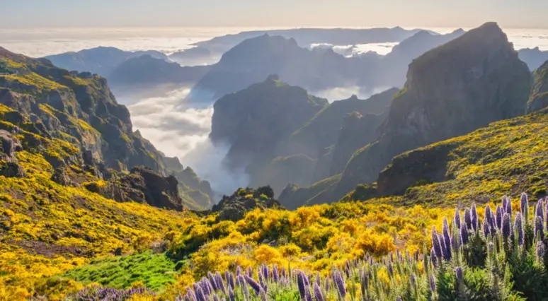 Madeiras pārgājiens