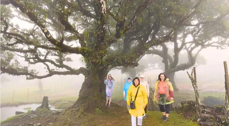 Vulkānu un ziedu sala - Madeira
